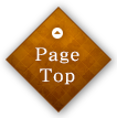 pagetop