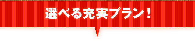 選べる充実プラン！